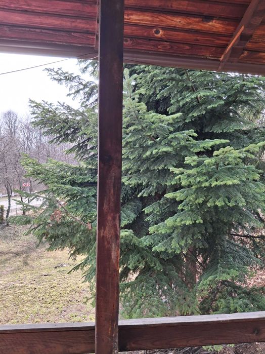 Casa de inchiriat Revelion Breaza