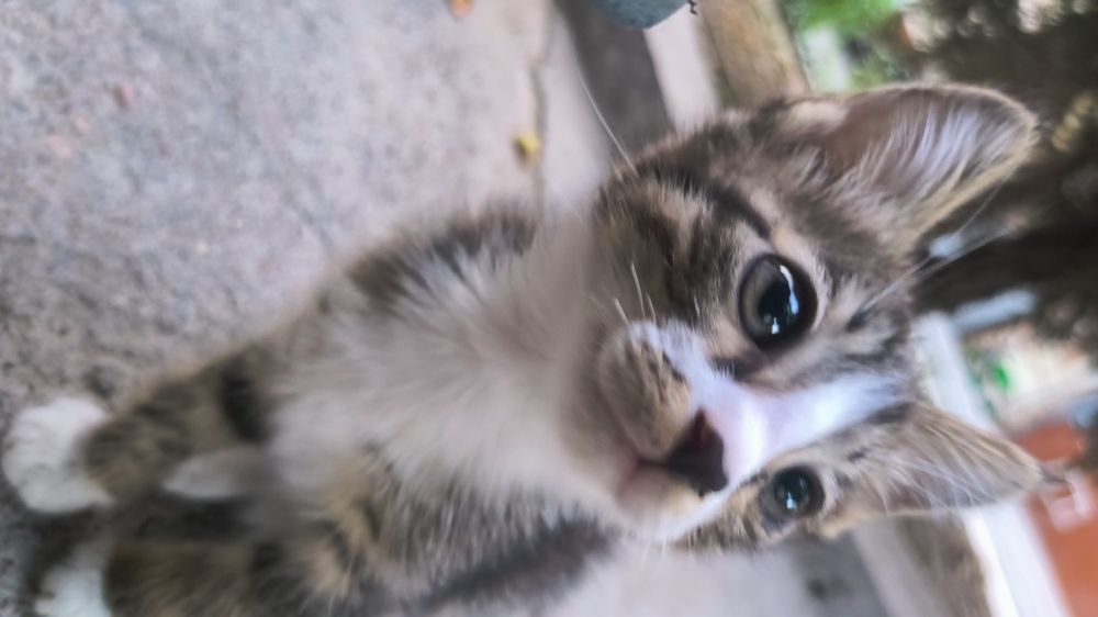 Qamoqxonada qattiq porno guruh