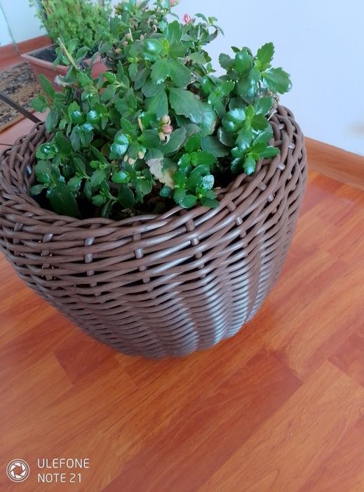 Coș din ratan pentru flori