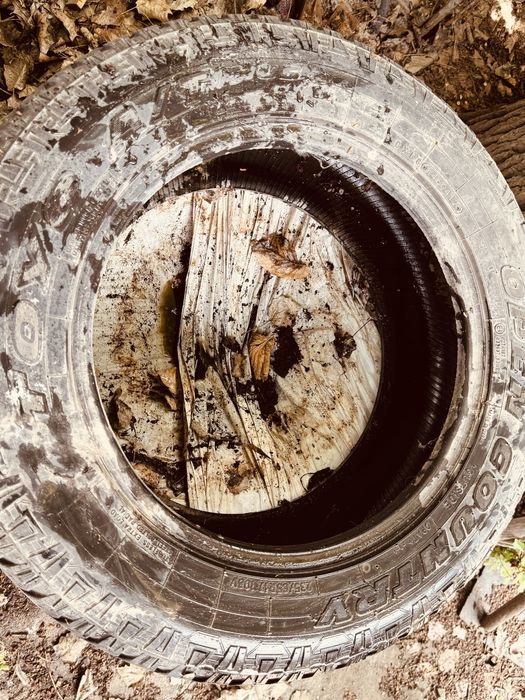 Продам шины комплектот BMW x5