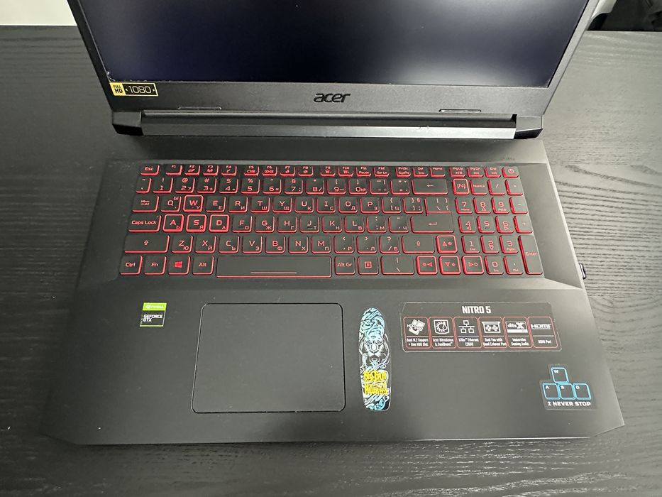 Acer Nitro 5(AN517-41)