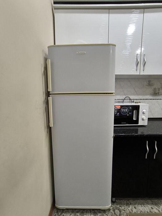 Холодильник Бируса