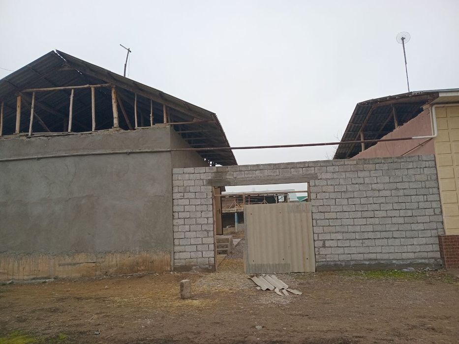 Юморист Чирчик туман Узбекистан МФЙ (Навоий) 6 сотихлий уй сотилади.