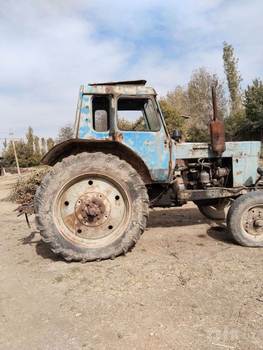 Traktor ( Belarus )