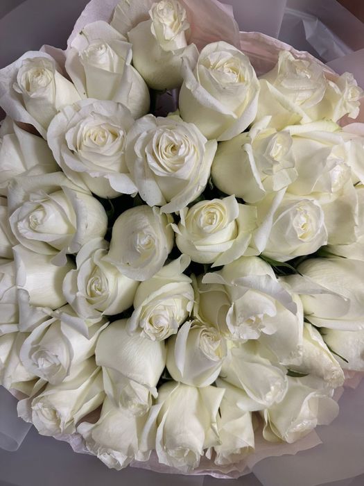 продам розы белые. Очень красивый букет 41 шт