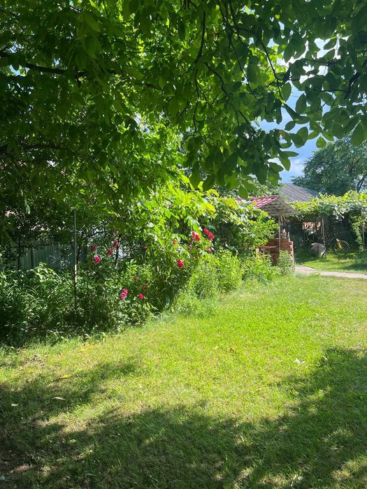 Casa 60 mp Girov, 1500 mp teren, curte superba, iesire prund Cracau