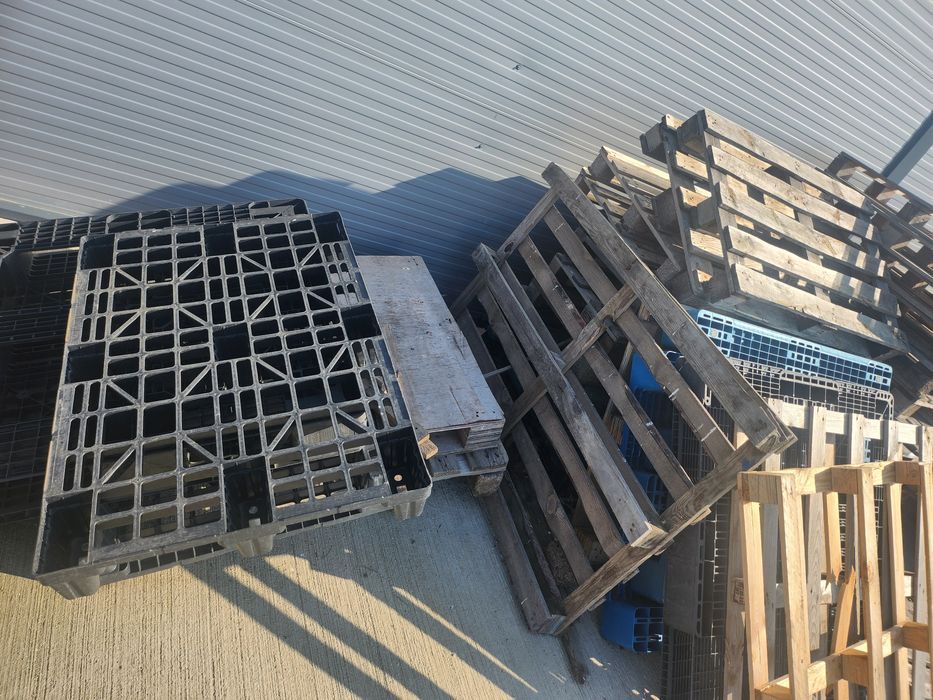 Paleti Euro si Non euro