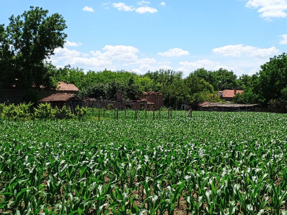 Продава се Къща в с. Обнова, Област Плевен - 100 кв.м за 113 €/кв.м - Снимка #3