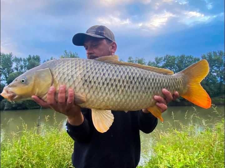 Momitoare cu Talpa, Plumbi Pescuit, Method Feeder, Dunare, Mamaliga
