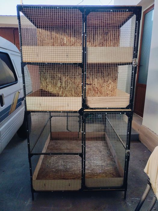 Yengi Katak sotiladi