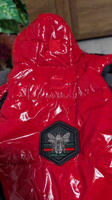 Кучешко яке - Gucci