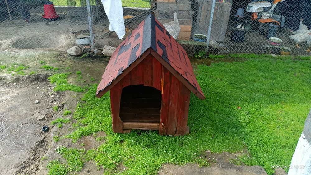 Cușcă pentru câini