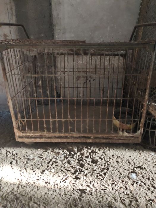 Клетки для Кроликов Другое