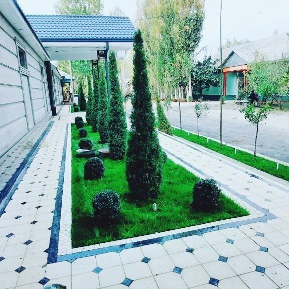 Дарахтларга шакал  Арча кесиб бериш хизматии