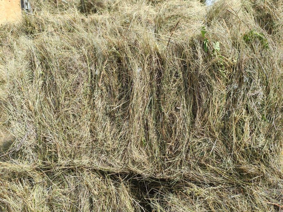 Продам сено в тюках, в рулонах