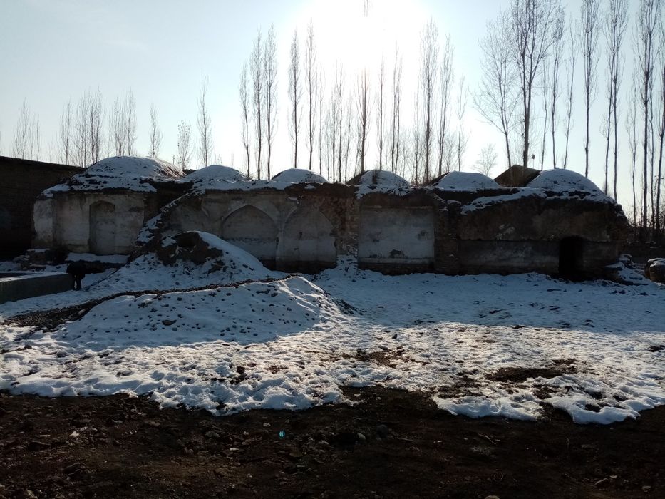 Noturar 15 sotik uchaska sotiladi