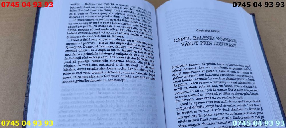 carte carti MOBY DICK herman melville cartonata