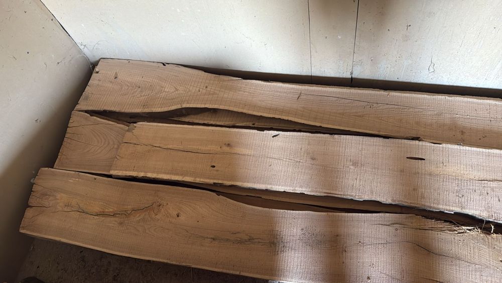 Караағаш. Лес. Сухой лес карагач !