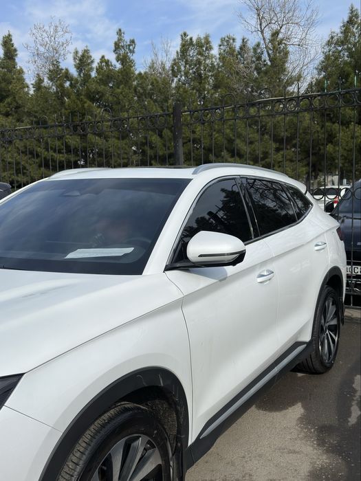 Byd champion 150km DM1 hybrid