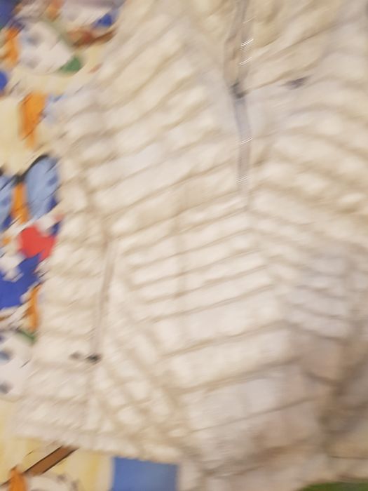 The north face яке