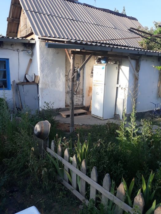 Забадам. Откорм Савхоз.