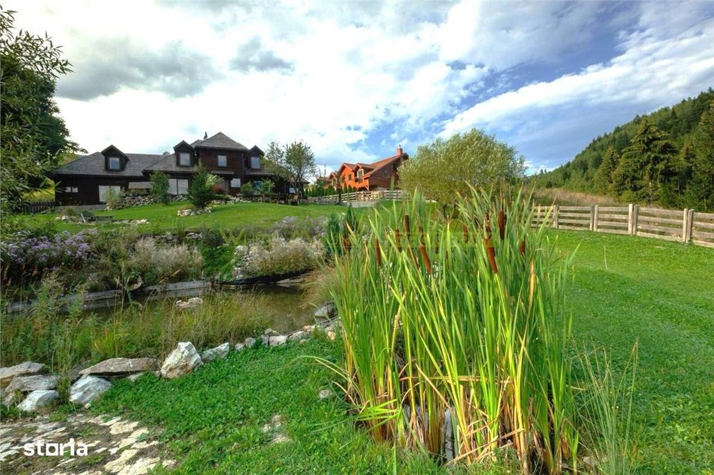 Raritate| Proprietate de vis pe 6 ha intravilan  de vanzare in Pestera