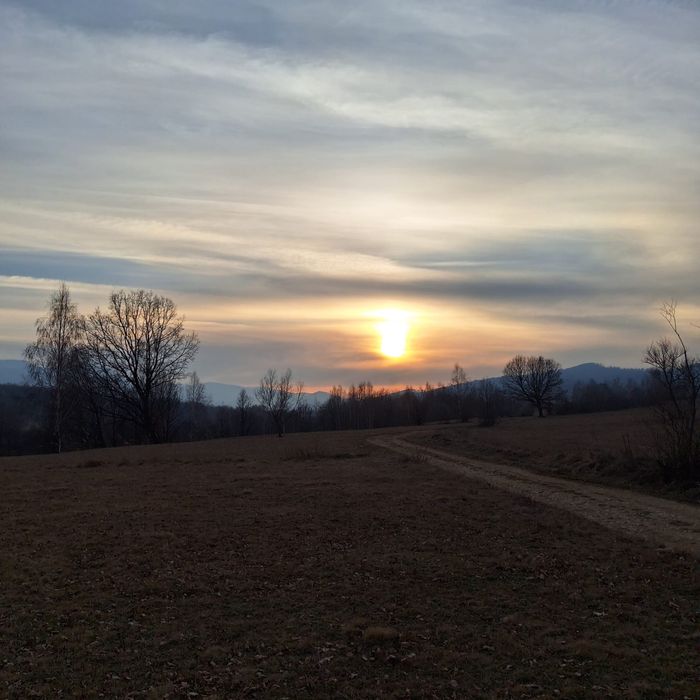 De vanzare teren extravilan in Șinca Nouă