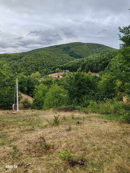 Teren 64 ari in Ulmoasa – investitie turistica, panorama spre padure