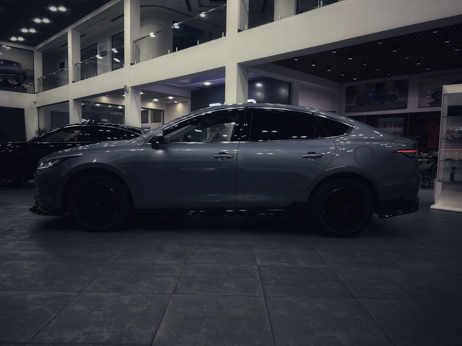 BYD Chazor 1,2,4 позиции