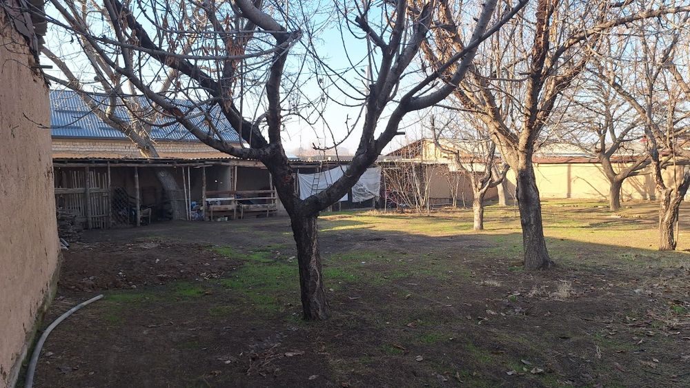 Uchastka yer xisobida sotiladi