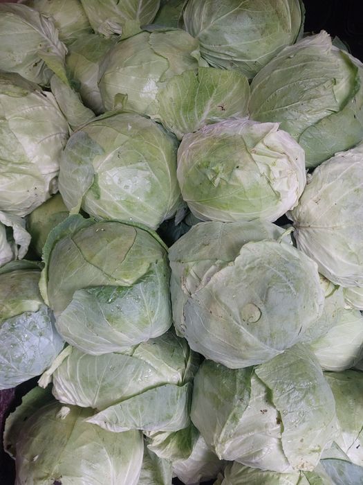 VARZĂ DE BUZĂU -direct de la producător