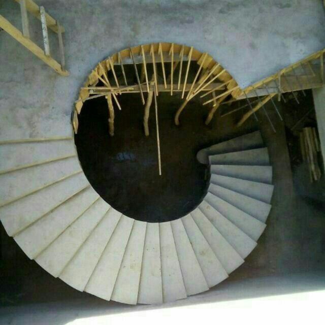 Zinachi lesnitsa zina zinapoya