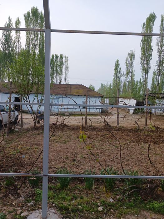 Жилой дом бука район бустон