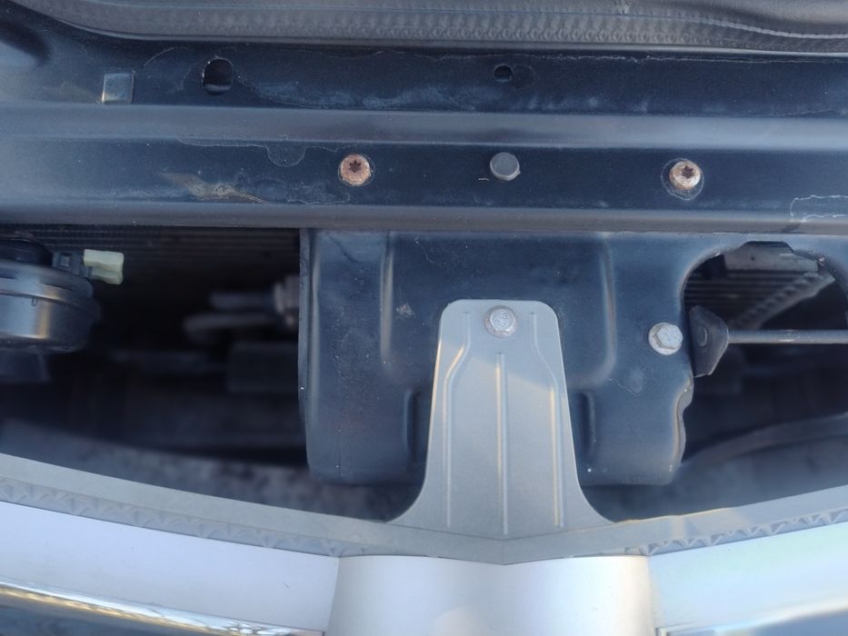 Grila frontala facelift, grila capota facelift Mercedes CLS W219