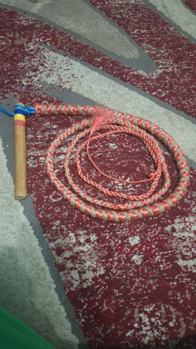 Bice traditionale romanesti