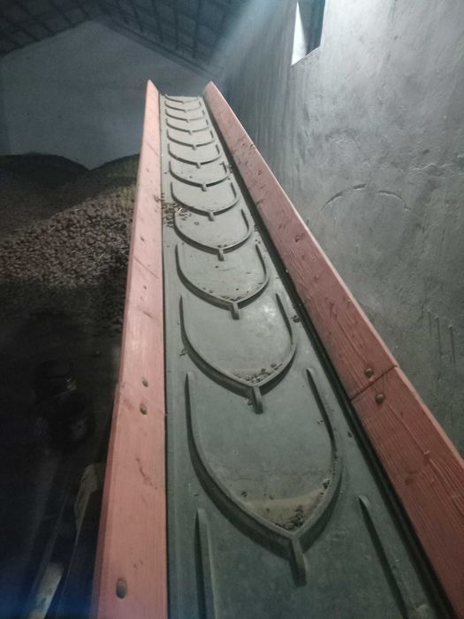 Bandă Transpor cereale cartofi
