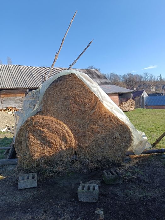 Vând 6 baloți  de lucernă și o claie