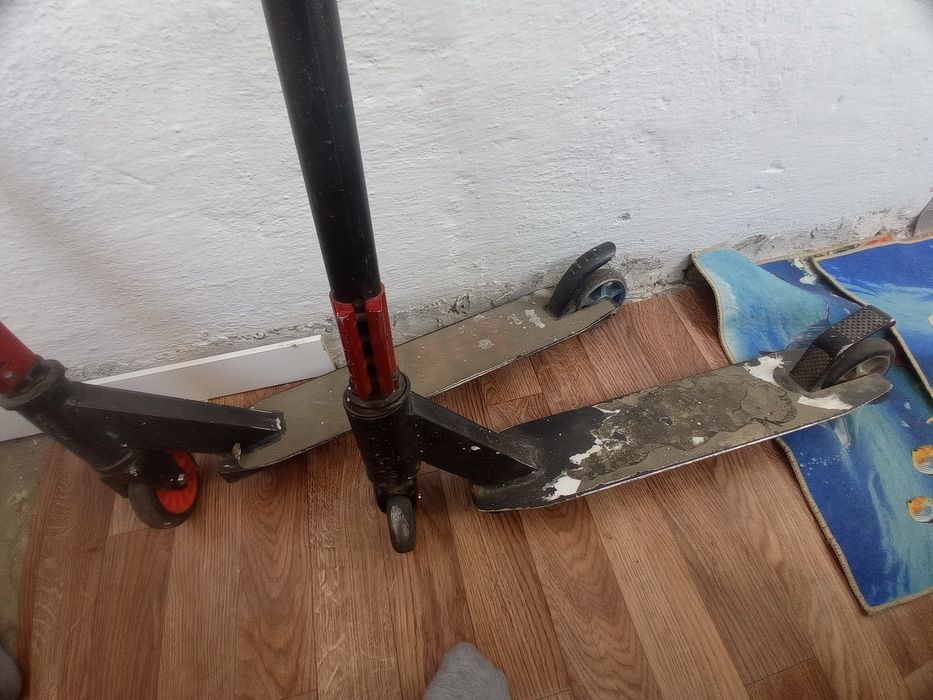 Продаю 2 сомаката