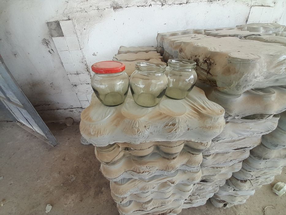 Banka bonka islatilmagan 6 mingta bor  yangi Chang Bogan xalos