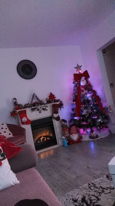 Semineu electric 3D