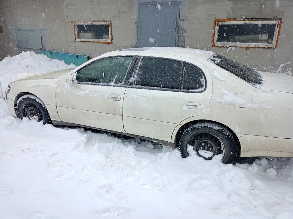 Продам бодрую аристу