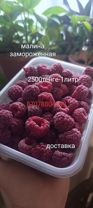 Малина заморозка