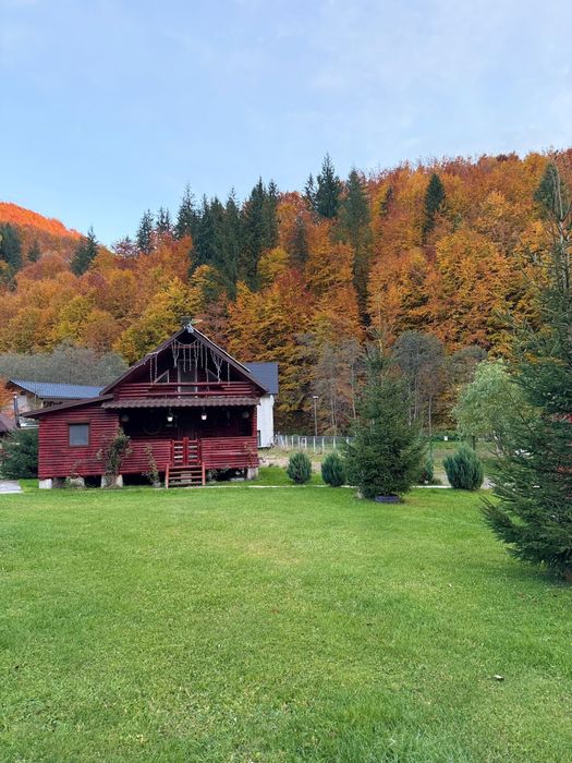 Cabana de închiriat Munții Țibleș | 5 camere | Ciubăr | Piscină | BBQ | ATV & biciclete
