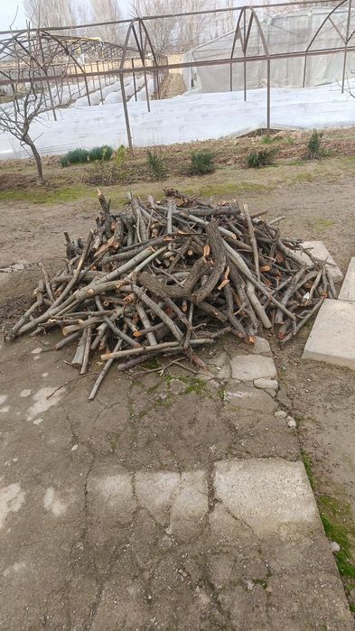 O'tin sotiladi narxi kelishiladi