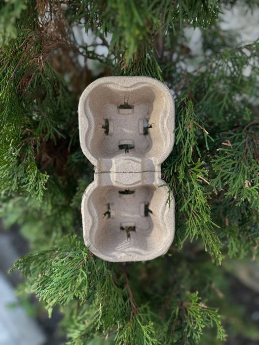 Стаканы для кофе и бабл ти