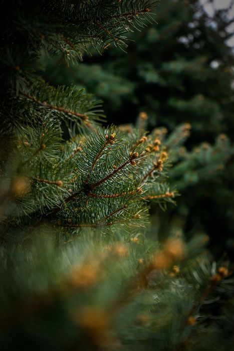 Sony Alpha 7R + kit объектив