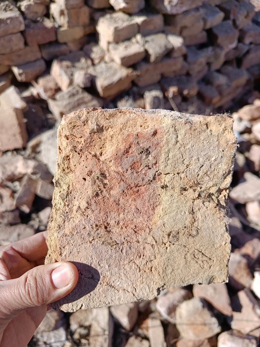 Ярым гербиш ап состояние жаксы