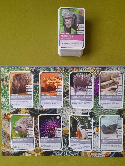 Set 96 cartonase + Album Mega Image (Joc Ghiceste animalul)