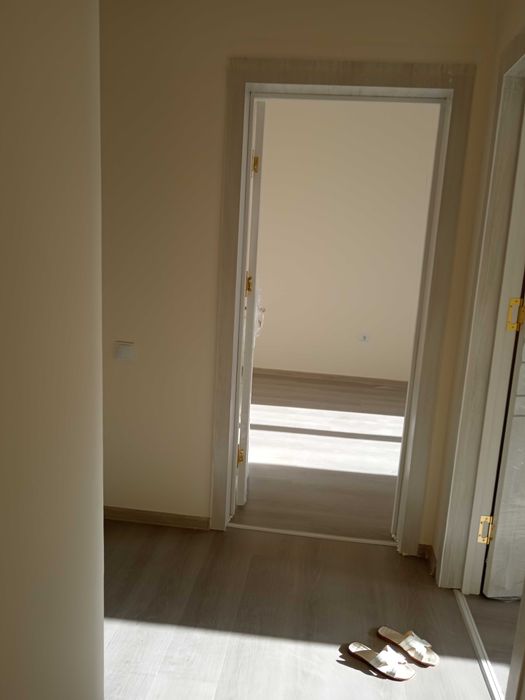 Motrid domlari qorasuv