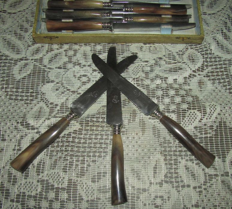 Антикварни трапезни ножове Au Kabyle, к-т 12 бр.